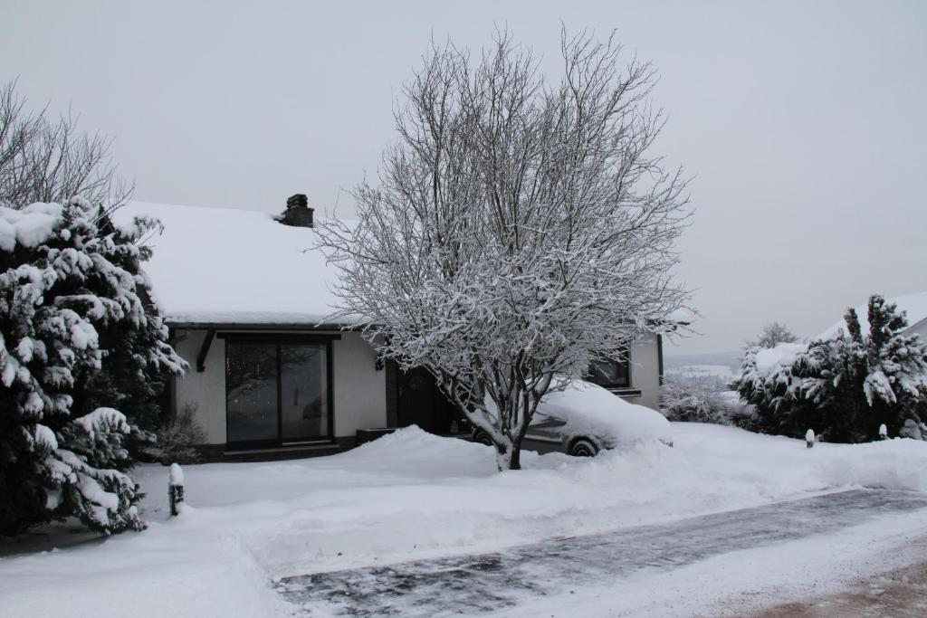 B&B Sol Magnus Stavelot Exterior photo